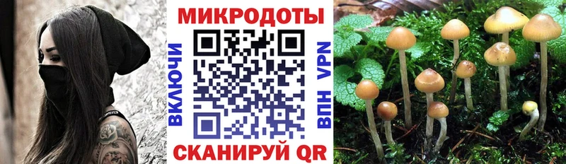 kraken ССЫЛКА Шлиссельбург Псилоцибиновые грибы Cubensis что такое наркотик