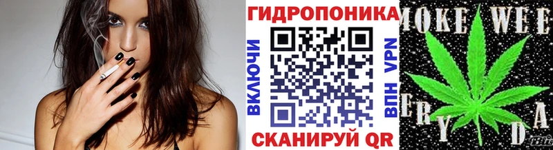 kraken зеркало  Шлиссельбург  Канабис индика  где можно купить наркотик 